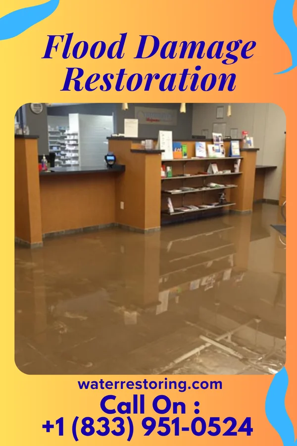 Flood Damage Restoration in Tobaccoville, NC