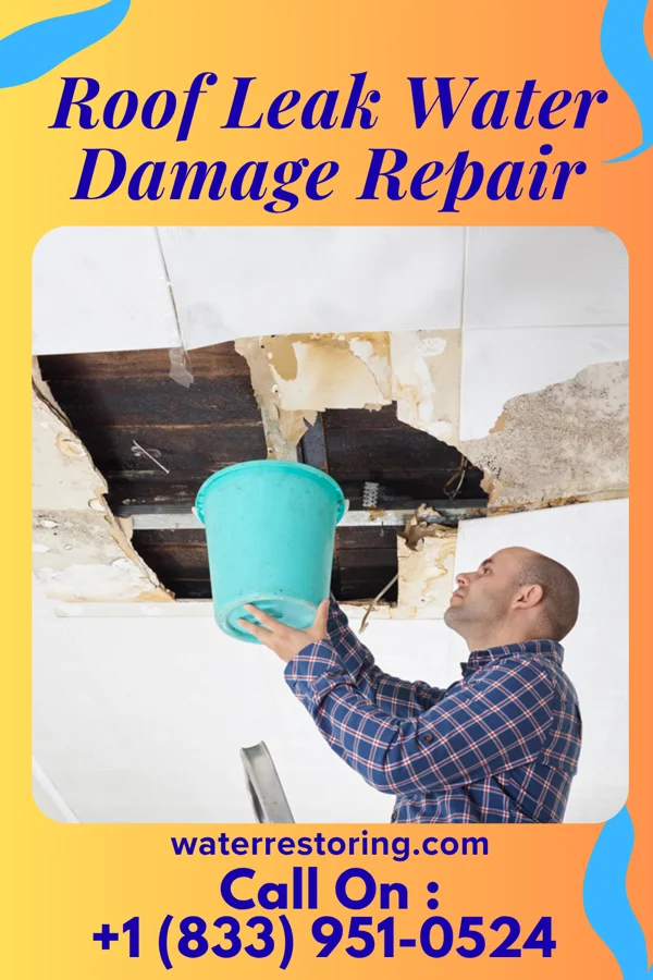 Roof Leak Water Damage Repair in Tobaccoville, NC