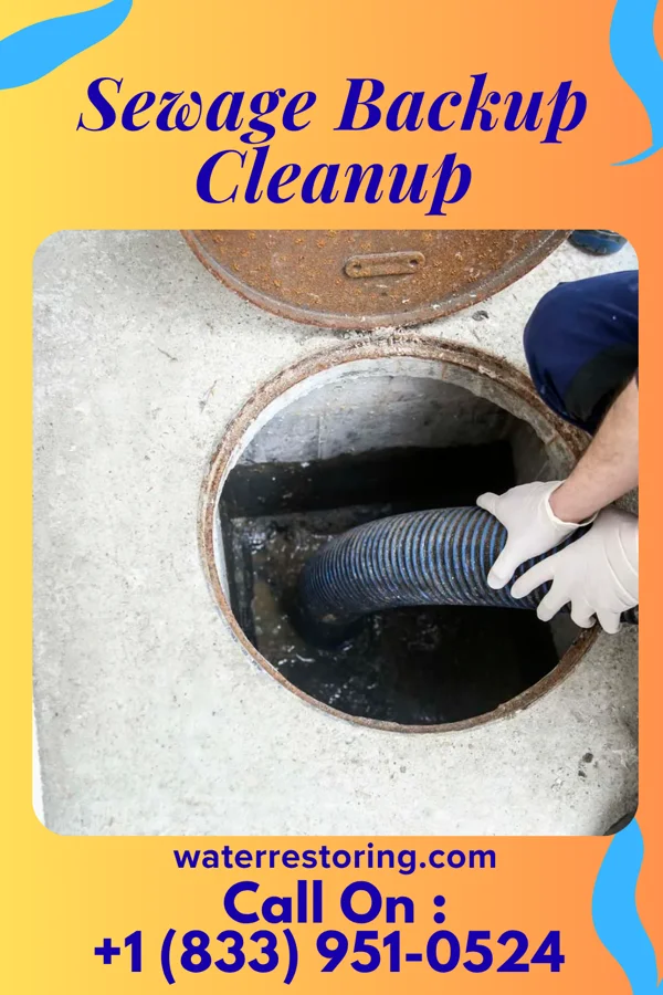 Sewage Backup Cleanup in Tobaccoville, NC