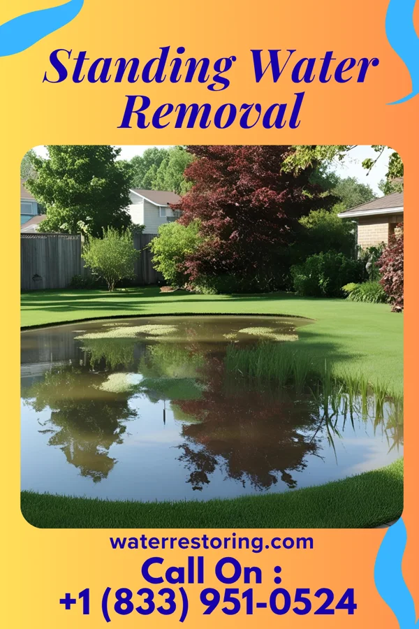 Standing Water Removal in Tobaccoville, NC
